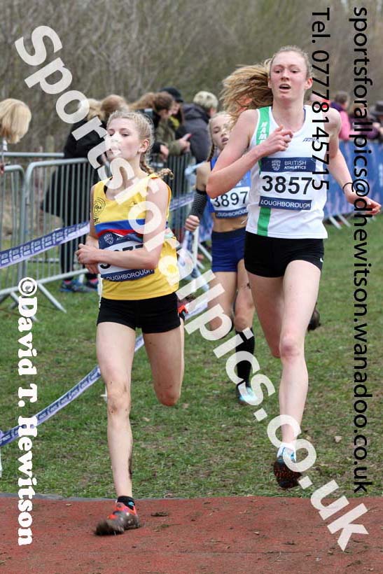 Girls under-15s Inter Counties Cross Country, Prestwold Hall, Loughborough. Photo: David T. Hewitson/Sports for All Pics